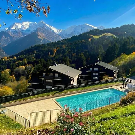 Le Nid D'aigle - Vue Sur Le Mont Blanc *